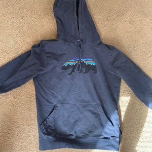 Blue Patagonia Hoodie
